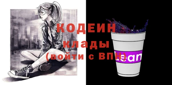 молекула духа Лабытнанги