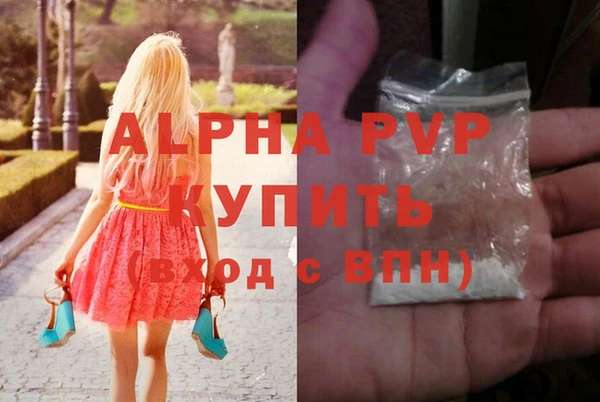 молекула духа Лабытнанги