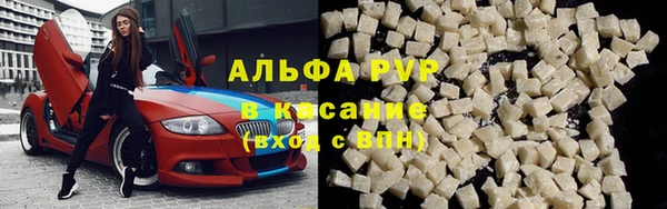 молекула духа Лабытнанги