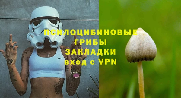 молекула духа Лабытнанги