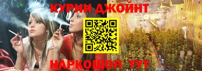 прущие крисы Бийск