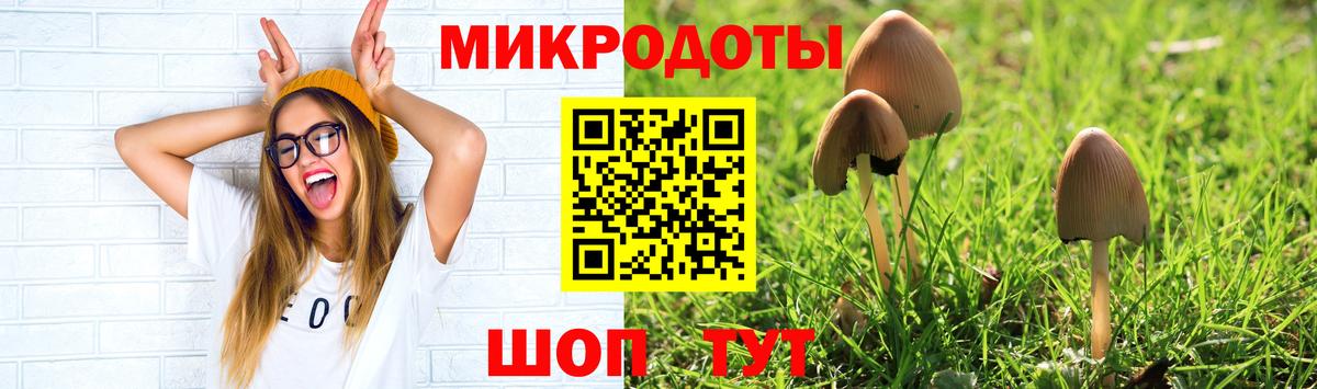 Псилоцибиновые грибы Cubensis  цена наркотик  Волгодонск 