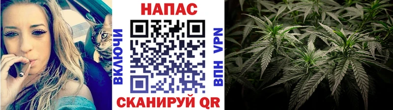Бошки Шишки тримм  купить наркотик  Волгодонск 